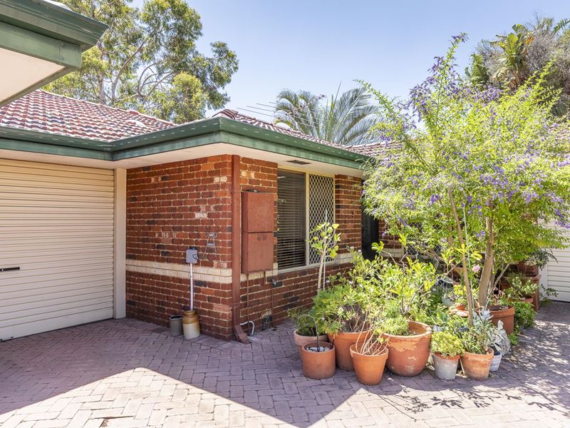 3/2 Bonnievale Street, Mount Hawthorn WA 6016
