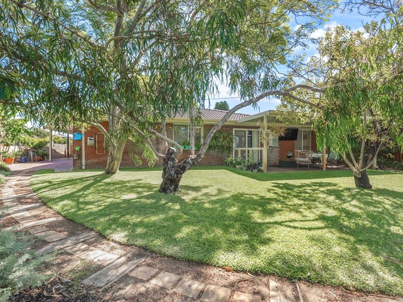 16 Frederick Street, Shoalwater WA 6169