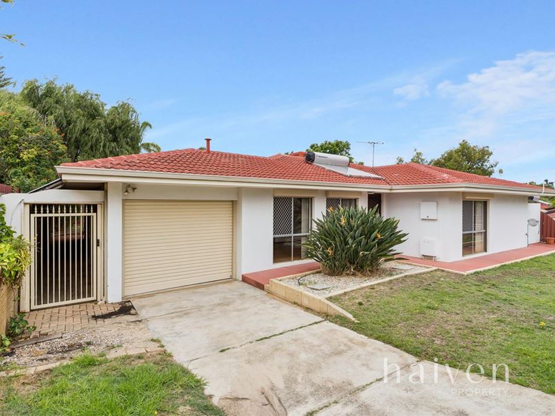 42 Dotterel Way, Yangebup
