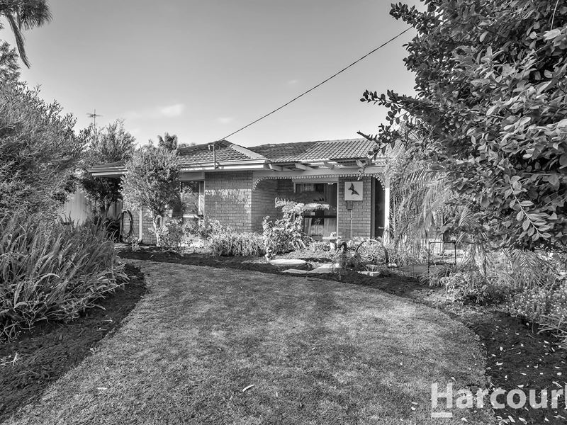35 Amazon Drive, Greenfields