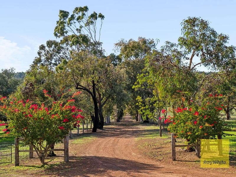 544 Copley-Dale Road, Gidgegannup WA 6083