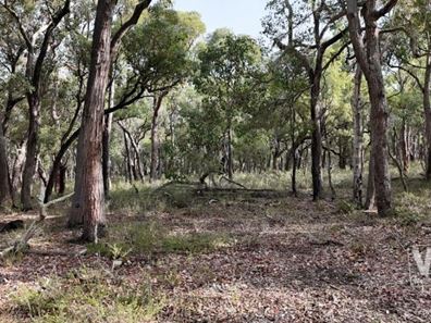 Lot 102 Woodlands Road, Narrikup WA 6326