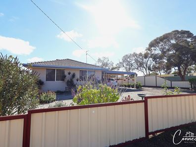 30 Stacy Street, Dowerin WA 6461