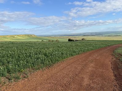 Lot 9683 Walkaway-Nangetty Road, Ellendale WA 6532