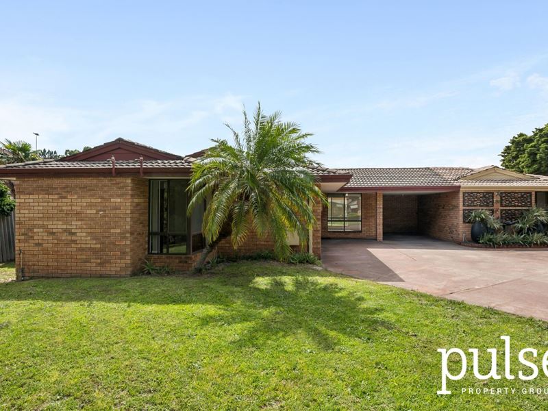 20A Barrow Crescent, Shelley WA 6148