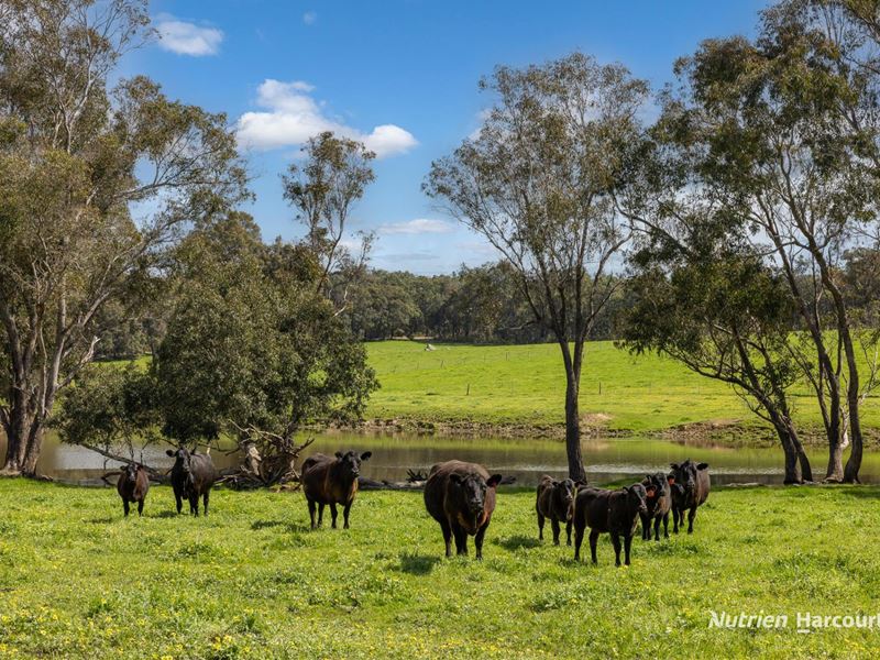 Lot 100 Yarri Road, Manjimup