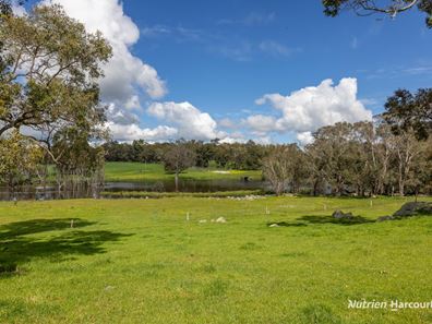 Lot 100 Yarri Road, Manjimup WA 6258