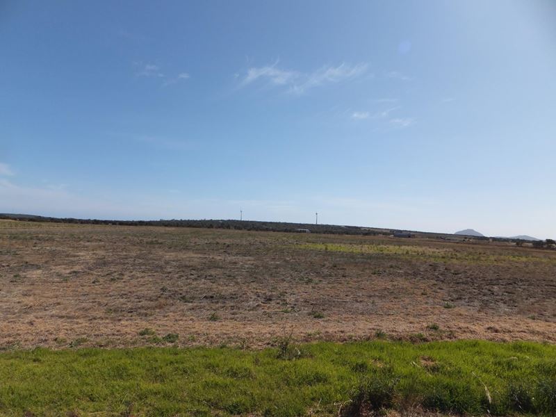 Lot 557 Godenia Way, Hopetoun