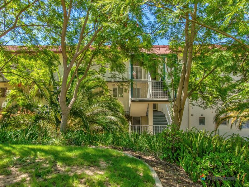 4/9 Gamble Place, Orelia