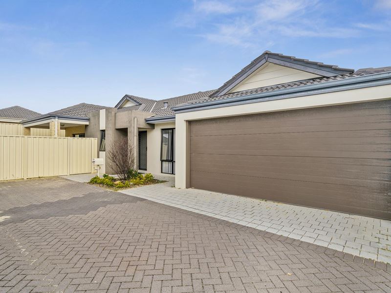 2/6 Classic  Rise, Pearsall