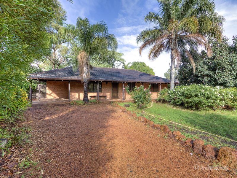 31 Casuarina Road, Maida Vale