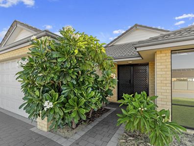 21 Cossack Street, Baldivis WA 6171