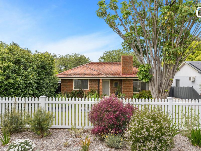 29 Dorothy Street, Ashfield