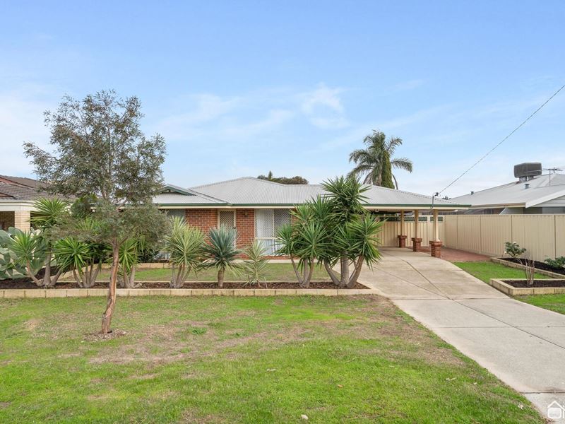 164 Seville Drive, Seville Grove WA 6112