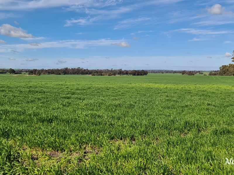 "Neymerup" Neymerup Road, Kojonup