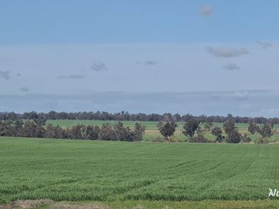 "Neymerup" Neymerup Road, Kojonup WA 6395