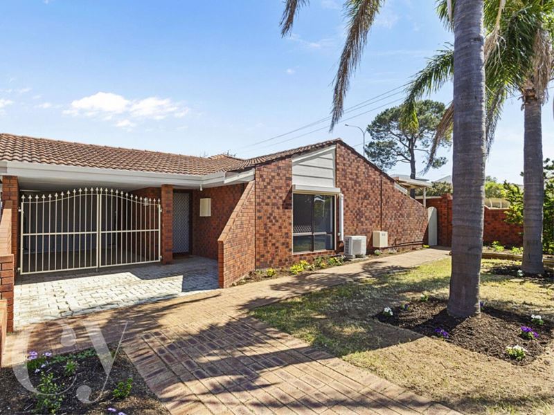 56B Petterson Avenue, Kardinya WA 6163