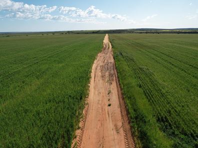 Tenindewa Williamson Road, Mullewa WA 6630