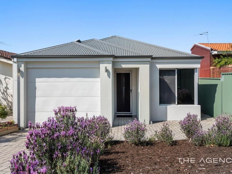 12A Cameron Way, Kardinya