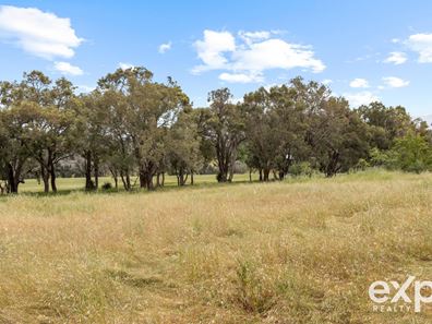 Lot 1461,  Walter Street, Balingup WA 6253