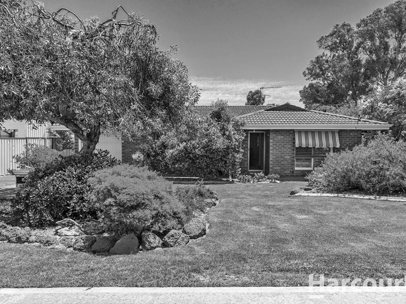 26 Vanessa Road, Falcon