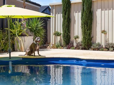 5 L'Esterel Way, Port Kennedy WA 6172