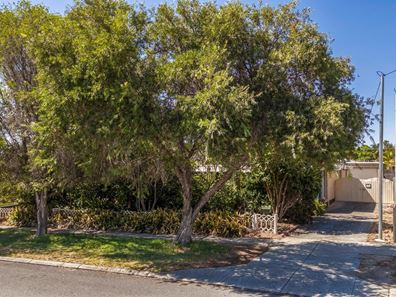 17 White Street, Osborne Park WA 6017