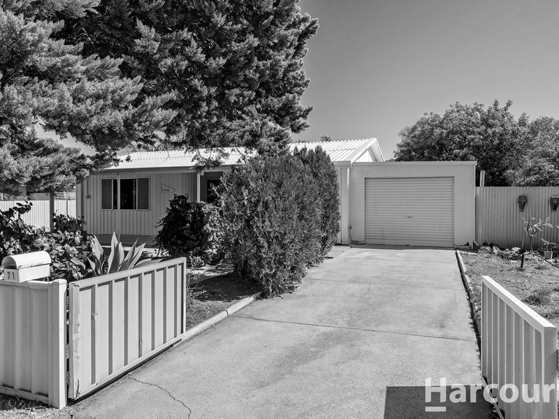 71 Cobblers Street, Falcon