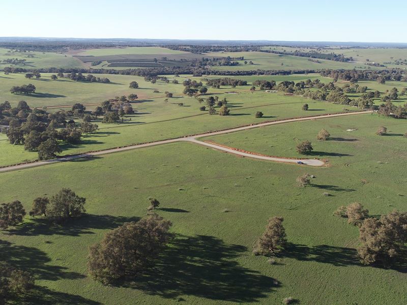 Lot 306,  Starbush Way, Ginginup WA 6503