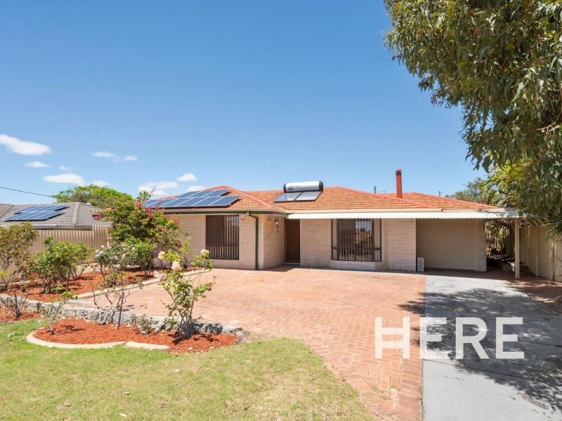 129 Warrandyte Drive, Craigie WA 6025