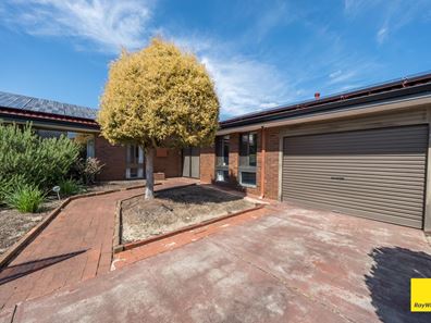 55 Gayford Way, Girrawheen WA 6064