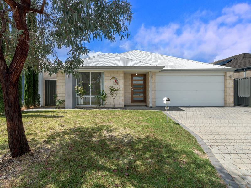 17 Bright Street, Haynes WA 6112