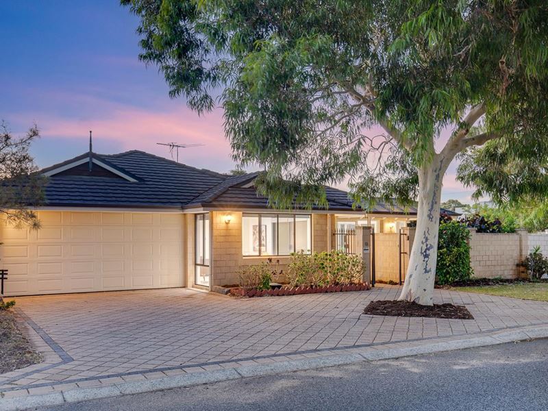 13 Francis Avenue, Karrinyup WA 6018