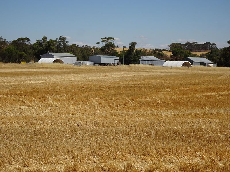 747 Yenellin Road, East Pingelly WA 6308