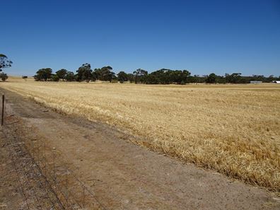 747 Yenellin Road, East Pingelly WA 6308