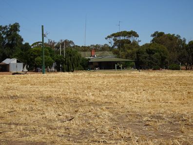 747 Yenellin Road, East Pingelly WA 6308