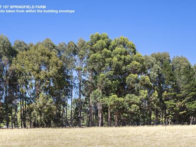 Lot 157,  Springfield Farm, Yallingup WA 6282