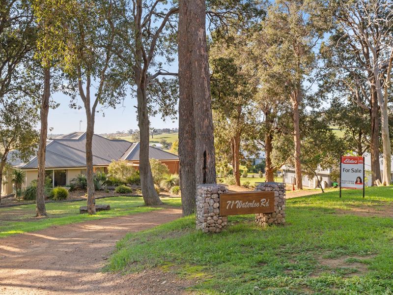 71 Waterloo Road, Roelands