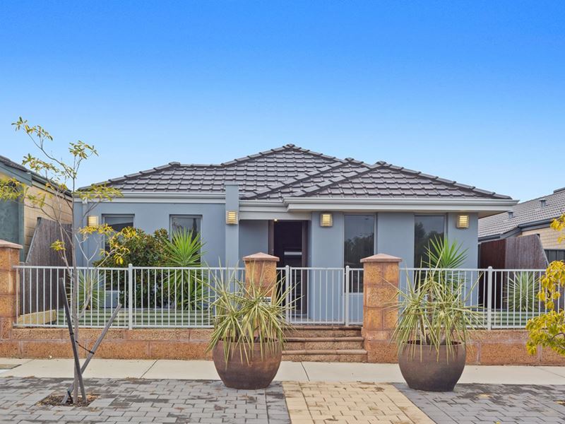 11 Paludosa Link, Banksia Grove