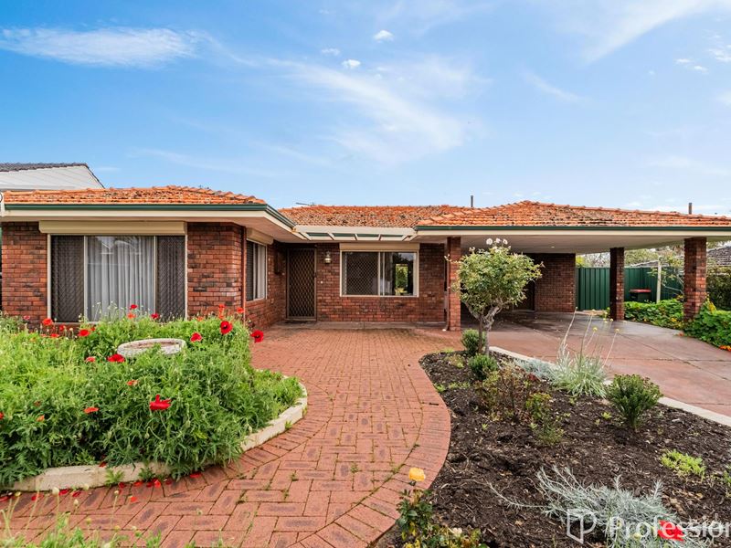 7 Pimelia Court, Greenwood WA 6024
