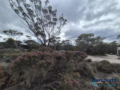 Lot 3 Stennett Street, Ravensthorpe WA 6346