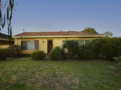 48 McGilvray Avenue, Morley WA 6062