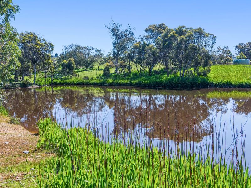 Lot 22 Edelweiss Heights, Bullsbrook