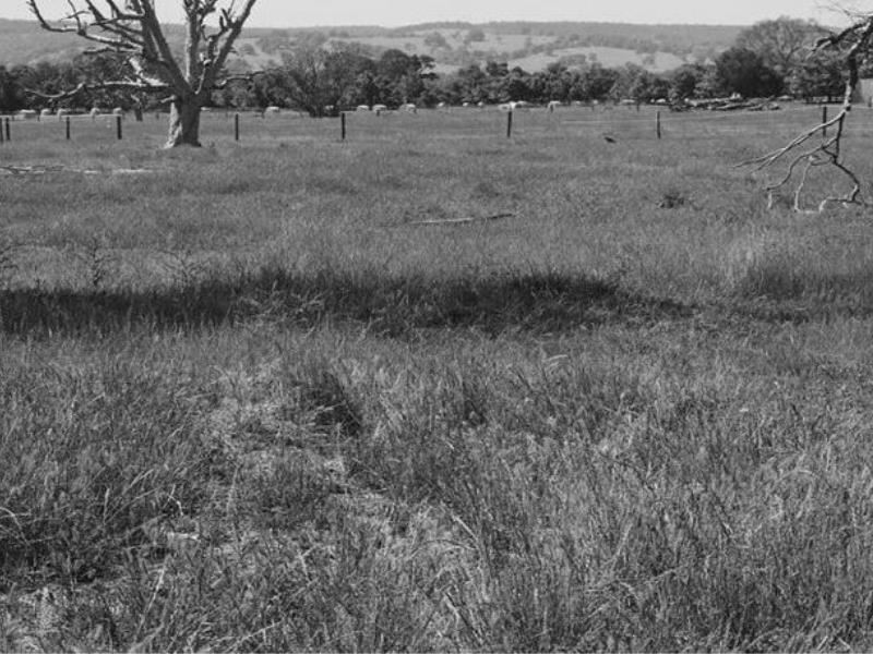 Lot 12 Lawley Road, Yarloop