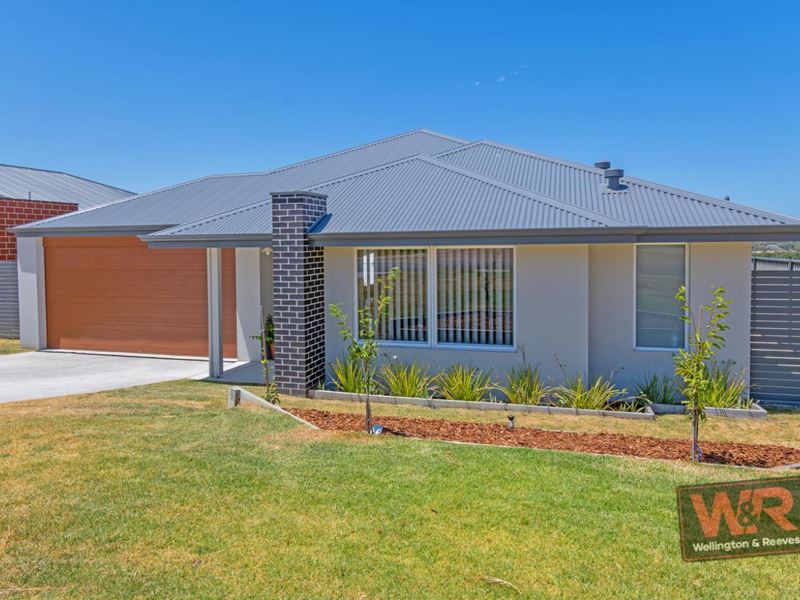 7 Houghton Boulevard, Bayonet Head