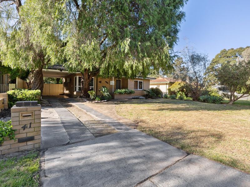 41 Bradshaw Street, Eden Hill