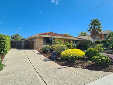 3 Albany Court, Beldon WA 6027