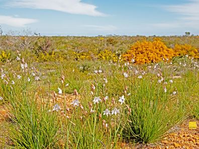 Lot 196 Jurien Bay Vista, Jurien Bay WA 6516