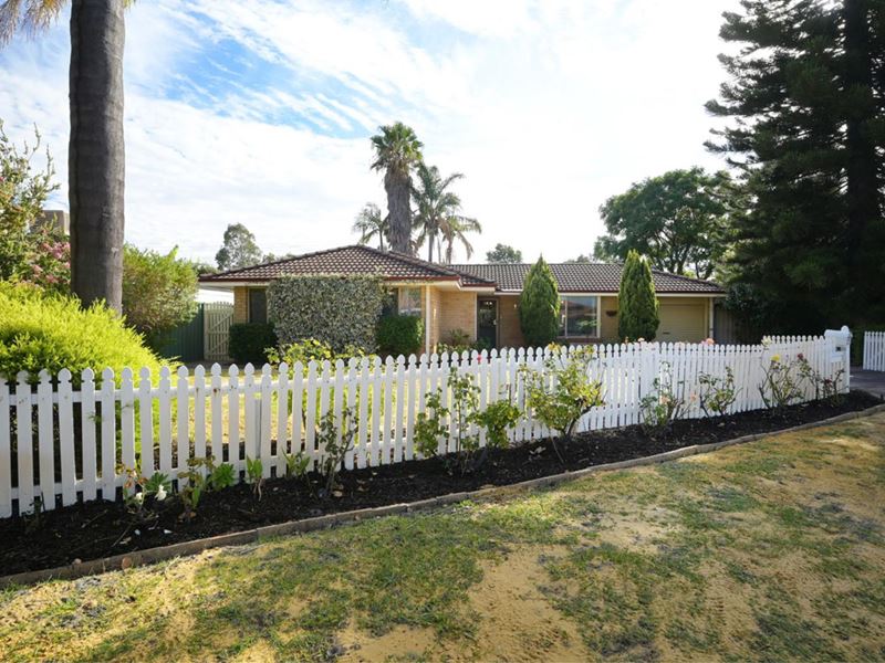 27 Hovea Court, Morley