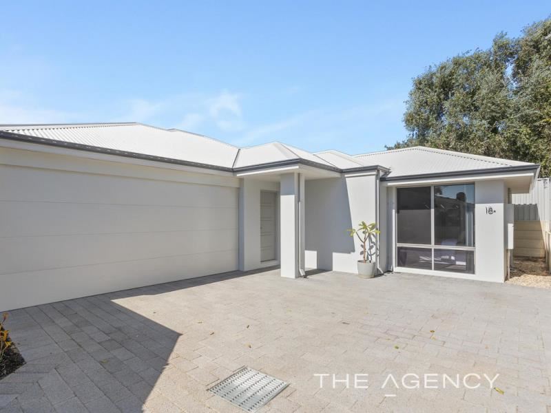 18A Arawa Place, Craigie